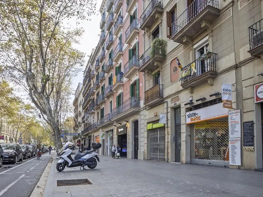¡Apartamento En El Centro De Barcelona! Apartment Spain
